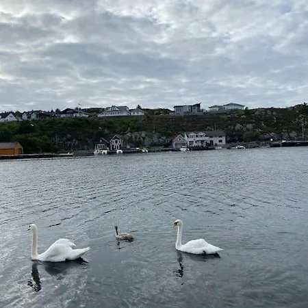 بيت للعطل Flott Rorbu Pa Idylliske Langevag/bomlo